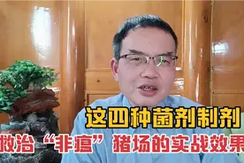 五个“非瘟“猪场，用了这四种菌剂制剂救治，最高存活率超90％视频封面