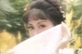 《桃李透艳红》电视剧《大内群英续集》插曲视频封面