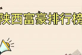 陕西富豪排行榜视频封面