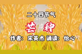 二十四节气《芒种》作者：宋英杰，一起了解芒种节气的相关常识