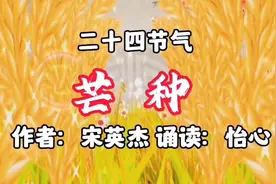 二十四节气《芒种》作者：宋英杰，一起了解芒种节气的相关常识视频封面
