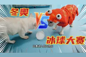 汪汪队爱冬奥！狗狗们体验冰球比赛，竟然出现了“打架”的名场面