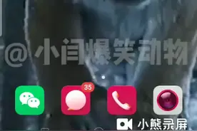 严阵以待正确下载方法。