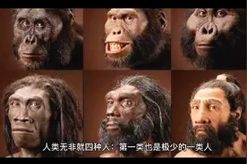 人的四种分类☞伟人、芸芸众生、小人和人渣视频封面