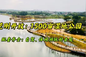 东莞新晋网红1500亩湿地公园，配套齐全免费开放，自驾休闲好去处视频封面