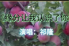 祁隆经典歌曲《缘分让我认识了你》旋律动听，百听不厌视频封面