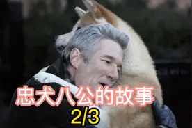 狗狗用一生去诠释什么是“忠诚”