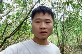 花3800学习养蜜蜂，师傅说年入20万很轻松，大伙帮忙参考一下