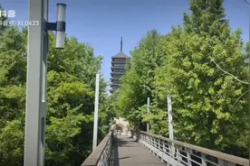 上海宝山滨江公园，今天太阳好大哦😊！视频封面