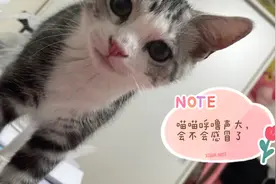 小喵闹闹睡着呼吸声很重，会不会感冒了？真诚发问，请帮听一听视频封面