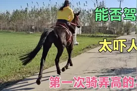 女子第一次骑高头大马真吓人，这身高能玩了吗？视频封面