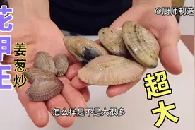 海鲜酒楼大厨，购买超大丹东花甲王，教你制作姜葱炒花甲王