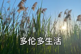 从北京到加拿大多伦多生活，记录一天！视频封面