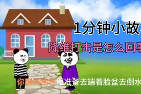 1分钟讲明白什么叫降维打击，想超越别人得先了解底层逻辑视频封面