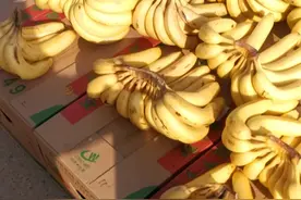 渭南原上集会视频封面