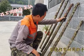 今天上山来找几根结实的锄头手柄备用，挖笋时用上它想断都难！视频封面