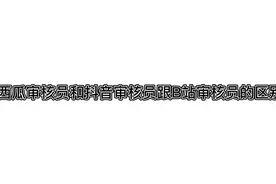 各种审核员的区别@独立工作室丶亿只屑君威视频封面