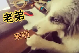 我是个普通的男人，为何如此喜欢我🤭
