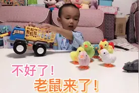 不好了！老鼠来了！快点抓它！视频封面