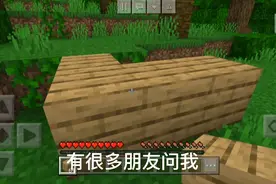 我的世界