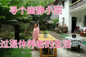 惠州夫妇在金盆山定居1年，在幽静的小院，过田园式的养老生活视频封面