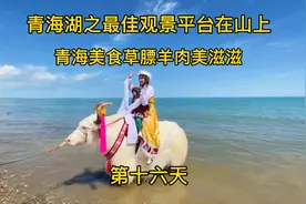 青海湖最佳观景平台，青海特色草膘羊肉。