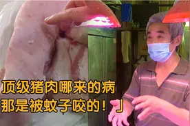 主妇买了一块顶级猪肉，发现全是红疙瘩，摊主：那是被蚊子咬的！视频封面