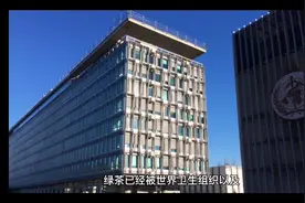 绿茶不仅能减肥，还能有效降低癌症的发病率！视频封面