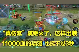 “真伤流”虞姬火了，这样出装，11000血的项羽，也挺不过3秒