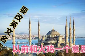 土耳其英文名字和火鸡一个意思，改的名字挺复杂，一般人看不懂视频封面