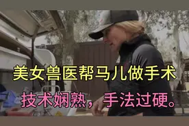 美女兽医帮马儿做绝育，技术娴熟，手法过硬。从此马儿一心跑步。