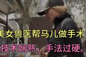 美女兽医帮马儿做绝育，技术娴熟，手法过硬。从此马儿一心跑步。视频封面