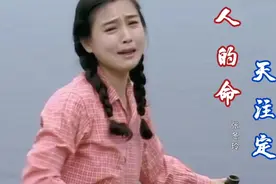张冬玲一首《人的命天注定》，歌词现实扎心，唱尽人生酸甜苦辣视频封面