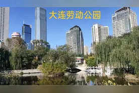 在大连的劳动公园逛一圈，这也是大连市中心最大的公园，环境很好视频封面