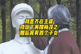 刘思齐在主席的劝说下改嫁杨茂之，婚后育有四个子女视频封面