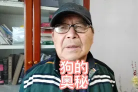 狗的奥秘：狗为什么专门追着他乱咬乱叫？视频封面