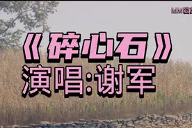 #《碎心石》完整版 歌声如诉如泣 倾诉心中的 悲伤和无奈＃视频封面