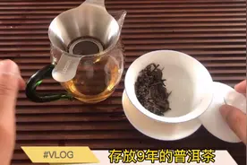 云南存放9年的普洱茶好喝吗？小伙冲泡12年八角亭0432，试试滋味视频封面