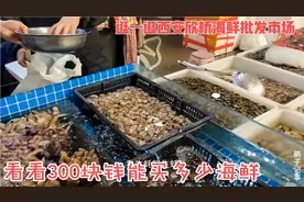 逛一逛西安欣桥海鲜批发市场，看看300块钱能买多少海鲜！贵吗视频封面
