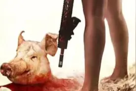 正义的子弹，人类和猪杂交，然后猪人统治世界，人类变成了食物。视频封面