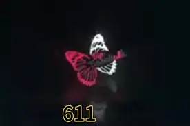 611