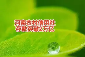 河南农村信用社银行存款突破2万亿，我贡献了5000元，给了米面油视频封面