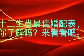 十二生肖最佳婚配表你了解吗来看看吧。视频封面
