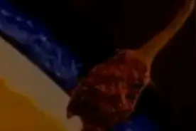 受精卵产生的过程视频封面
