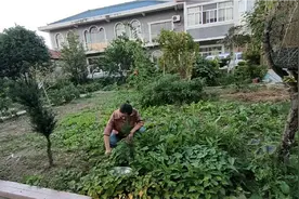 三峡移民来南通17年了，也不会说南通话，都是说川普，南通话太难视频封面