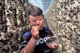 你生吃的木耳，你吃过没视频封面