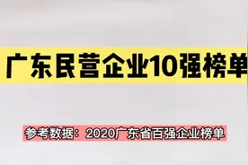 广东省最强的10家民营企业排名，谁才是中国民营企业的名片？视频封面