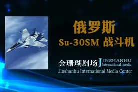 俄罗斯/Su-30SM /战斗机视频封面