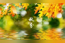 元稹《咏廿四气诗·秋分八月中》赞美秋日景色 而感叹时光飞逝视频封面