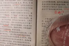 李宗仁回忆录（三）清朝专制腐败，乱党群起